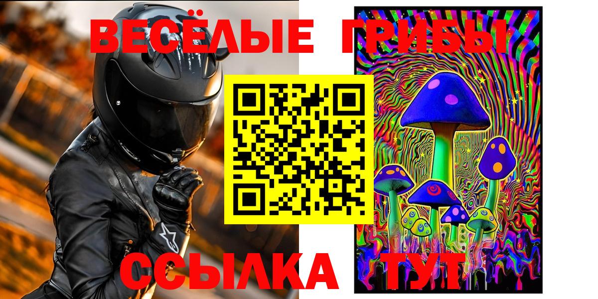 Псилоцибиновые грибы Psilocybe Можайск