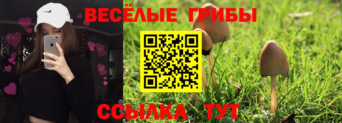 Можайск  Галлюциногенные грибы мицелий  Вход с VPN 